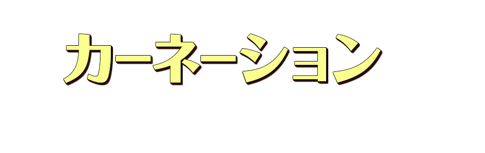 カーネーショnを始めるには…