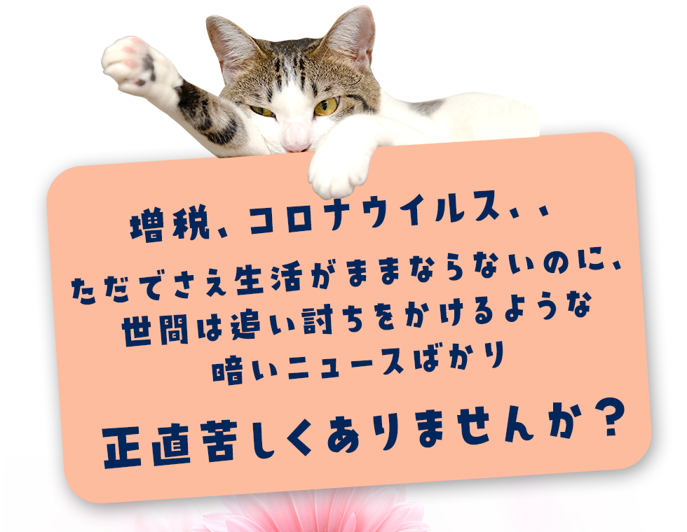 増税、コロナウイルス、、正直苦しくありませんか？