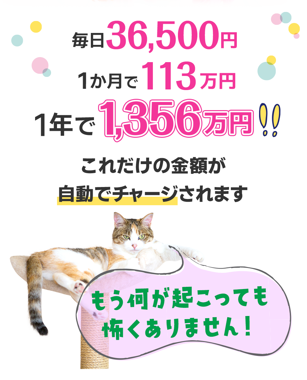 これだけの金額が自動でチャージされます。もう何が起こっても怖くありません！